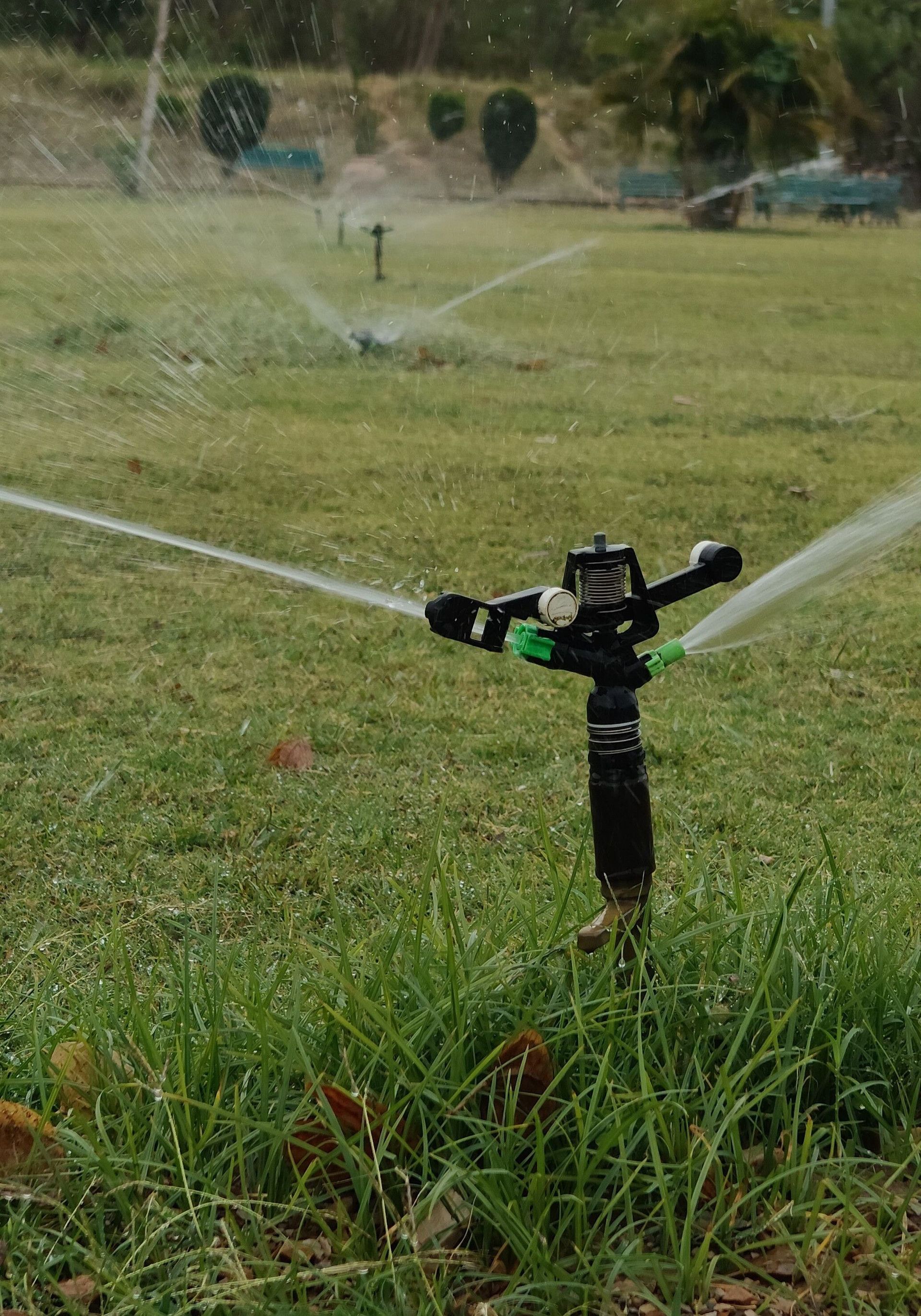 Rotating sprinkler watering a lush green lawn on an overcast day. Perfect for gardening themes.
